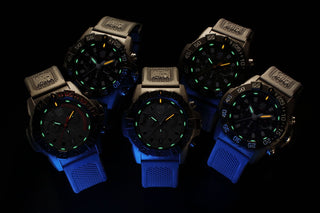 Luminox Light Technology, ALWAYS VISIBLE