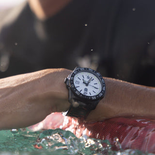 Pacific Diver, 39mm, dive watch - 3127M